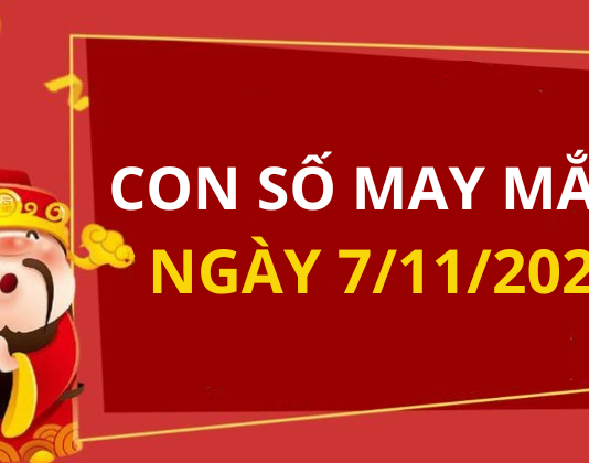 Con số may mắn hôm nay 7/11/2025 theo 12 con giáp: Số đẹp giúp bạn đổi vận