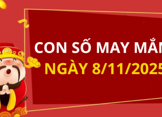 Con số may mắn hôm nay 8/11/2025 theo tuổi: Xem số hay có lộc ngay