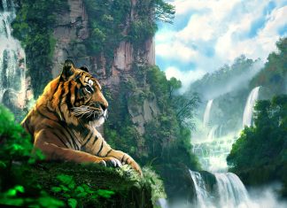 4 con giáp may mắn nhất năm 2026: Sự nghiệp thăng hoa, tiền bạc rủng rỉnh