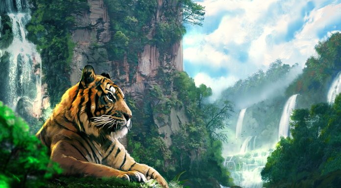 4 con giáp may mắn nhất năm 2026: Sự nghiệp thăng hoa, tiền bạc rủng rỉnh