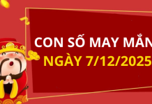 Con số may mắn hôm nay 7/12/2025 theo tuổi: Chọn số cát đổi vận tức thì