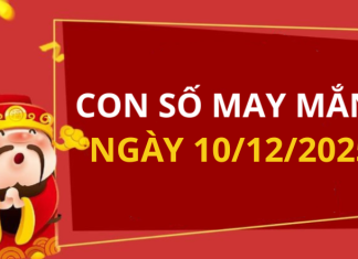 Con số may mắn hôm nay 10/12/2025 theo tuổi: Chọn số cát đổi vận tức thì