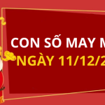 Con số may mắn hôm nay 11/12/2025 theo tuổi: Xem số phát lộc