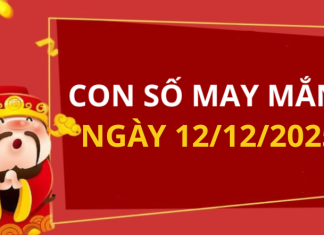 Con số may mắn hôm nay 12/12/2025 theo tuổi: Xem số vàng hợp tuổi bạn
