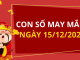 Con số may mắn hôm nay 15/12/2025 theo tuổi: Chọn số cát đổi vận tức thì
