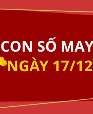 Con số may mắn hôm nay 17/12/2025 theo tuổi: Số đắc lộc cho tuổi của bạn