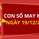 Con số may mắn hôm nay 19/12/2025 theo tuổi: Số cát giúp bạn phát tài