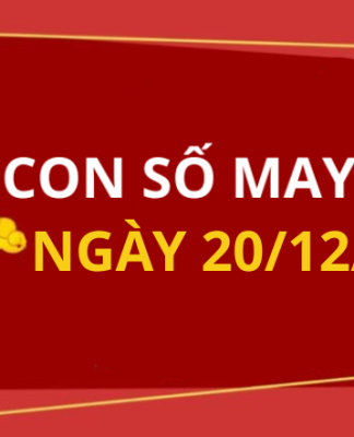 Con số may mắn hôm nay 20/12/2025 theo tuổi: Xem số phát lộc