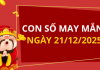 Con số may mắn hôm nay 21/12/2025 theo tuổi: Chọn đúng số phát tài