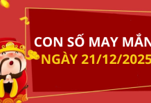 Con số may mắn hôm nay 21/12/2025 theo tuổi: Chọn đúng số phát tài