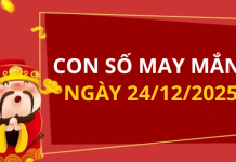 Con số may mắn hôm nay 24/12/2025 theo tuổi: số may đón Thần Tài vào nhà