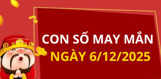 Con số may mắn hôm nay 6/12/2025 theo tuổi: Số may giúp bạn vượng tài