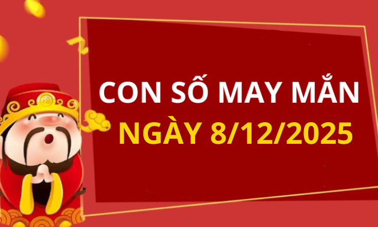Con số may mắn hôm nay 8/12/2025 theo tuổi: Số thu hút tài lộc