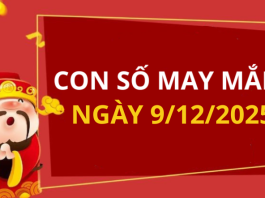 Con số may mắn hôm nay 9/12/2025 theo tuổi: Chọn số đón lộc