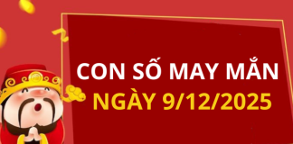 Con số may mắn hôm nay 9/12/2025 theo tuổi: Chọn số đón lộc