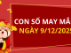 Con số may mắn hôm nay 9/12/2025 theo tuổi: Chọn số đón lộc