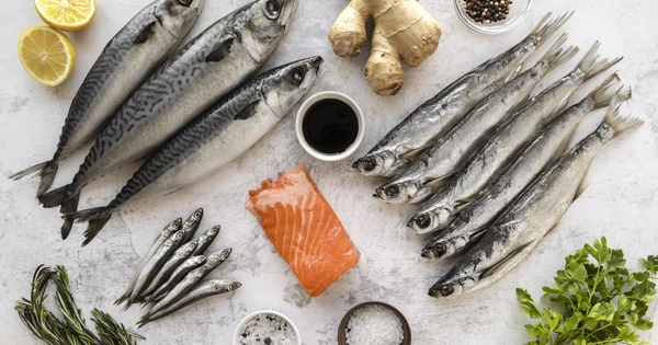 Những loại cá béo giàu choline và omega-3.