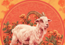 3 con giáp càng gần đến Rằm tháng Chạp càng giàu to