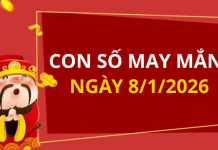 Con số may mắn hôm nay 8/1/2026 theo từng tuổi: Chọn đúng số để đổi vận