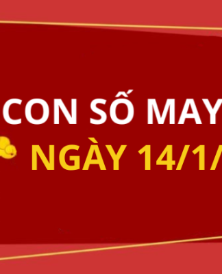 Con số may mắn hôm nay 14/1/2026 theo từng tuổi: Số cát giúp bạn đổi vận