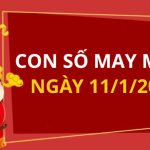 Con số may mắn hôm nay 11/1/2026 theo từng tuổi: Chọn số đón lộc