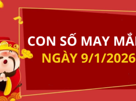 Con số may mắn hôm nay 9/1/2026 theo từng tuổi: Chọn số cát đổi vận tức thì