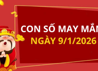 Con số may mắn hôm nay 9/1/2026 theo từng tuổi: Chọn số cát đổi vận tức thì
