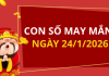 Con số may mắn hôm nay 24/1/2026 theo từng tuổi: Chọn đúng số phát tài