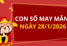 Con số may mắn hôm nay 28/1/2026 theo từng tuổi: Xem số hay có lộc ngay