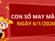 Con số may mắn hôm nay 6/1/2026 theo từng tuổi: Chọn số đón lộc