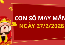 Con số may mắn hôm nay 27/2/2026 theo từng tuổi: Xem số hay có lộc ngay
