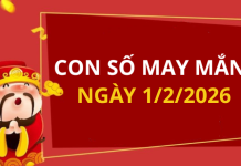 Con số may mắn hôm nay 1/2/2026 theo từng tuổi: Xem số vàng hợp tuổi bạn