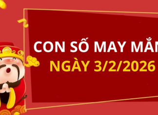 Con số may mắn hôm nay 3/2/2026 theo từng tuổi: Chọn số cát đổi vận tức thì