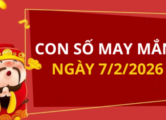 Con số may mắn hôm nay 7/2/2026 theo từng tuổi: Chọn số may giúp bạn hốt lộc