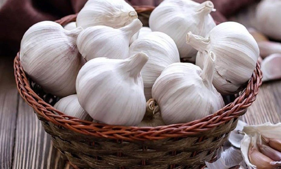 Tỏi khi bảo quản trong nhiệt độ thấp sẽ mọc mầm nhanh