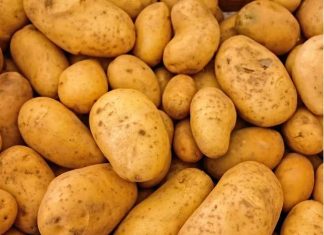 9 loại thực phẩm nên tránh cho vào tủ lạnh