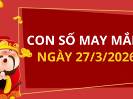 Con số may mắn hôm nay 27/3/2026 theo từng tuổi: Số cát lành giúp bạn đổi vận