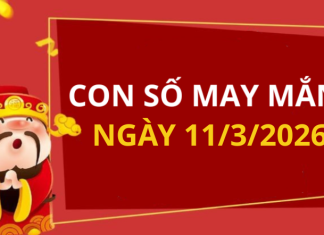 Con số may mắn hôm nay 11/3/2026 theo từng tuổi: Chọn số đón lộc