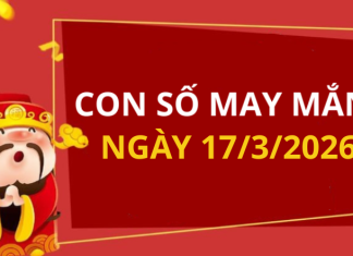 Con số may mắn hôm nay 17/3/2026 theo từng tuổi: Số may mắn giúp bạn đón lộc