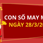 Con số may mắn hôm nay 28/3/2026 theo từng tuổi: Chọn đúng số giúp bạn phát tài