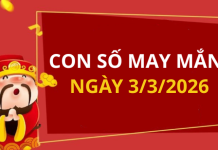 Con số may mắn hôm nay 3/3/2026 theo từng tuổi: Chọn số đón lộc