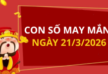 Con số may mắn hôm nay 21/3/2026 theo từng tuổi: Số thu hút tài lộc