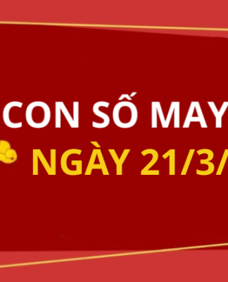 Con số may mắn hôm nay 21/3/2026 theo từng tuổi: Số thu hút tài lộc