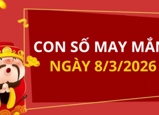Con số may mắn hôm nay 8/3/2026 theo từng tuổi: Chọn số hợp tuổi phát tài