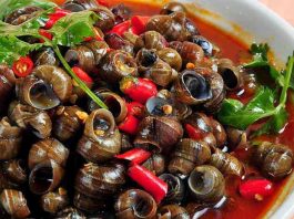 5 nhóm người không nên ăn ốc