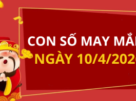 Con số may mắn hôm nay 10/4/2026 theo từng tuổi: Xem số phát lộc
