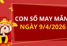 Con số may mắn hôm nay 9/4/2026 theo từng tuổi: Chọn số đón lộc