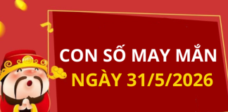Con số may mắn hôm nay 31/5/2026 theo từng tuổi: Số đẹp giúp bạn đổi vận