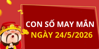Con số may mắn hôm nay 24/5/2026 theo từng tuổi: Số đẹp giúp bạn đổi vận