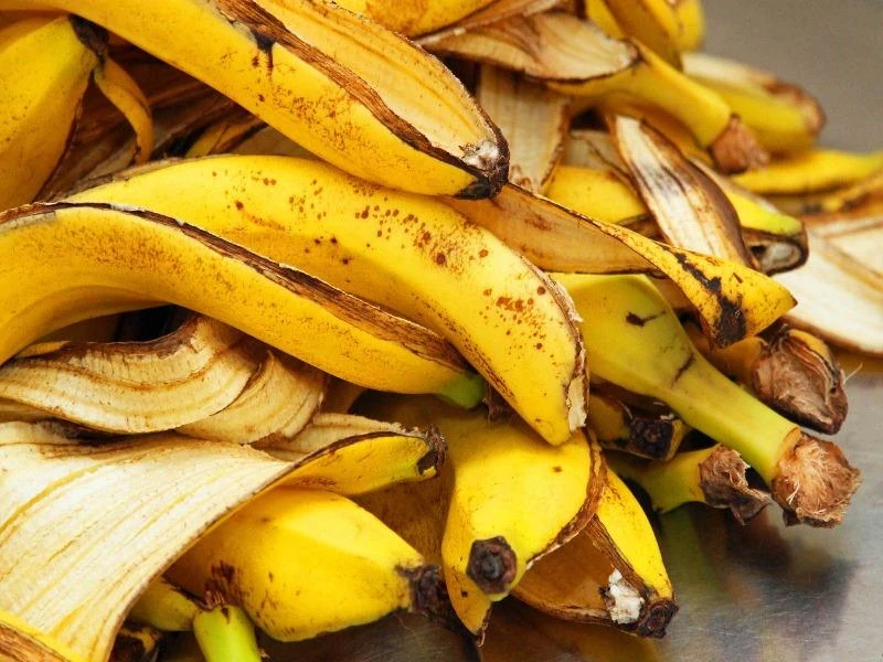 vỏ chuối có thể tận dụng để làm phân bón cho cây.